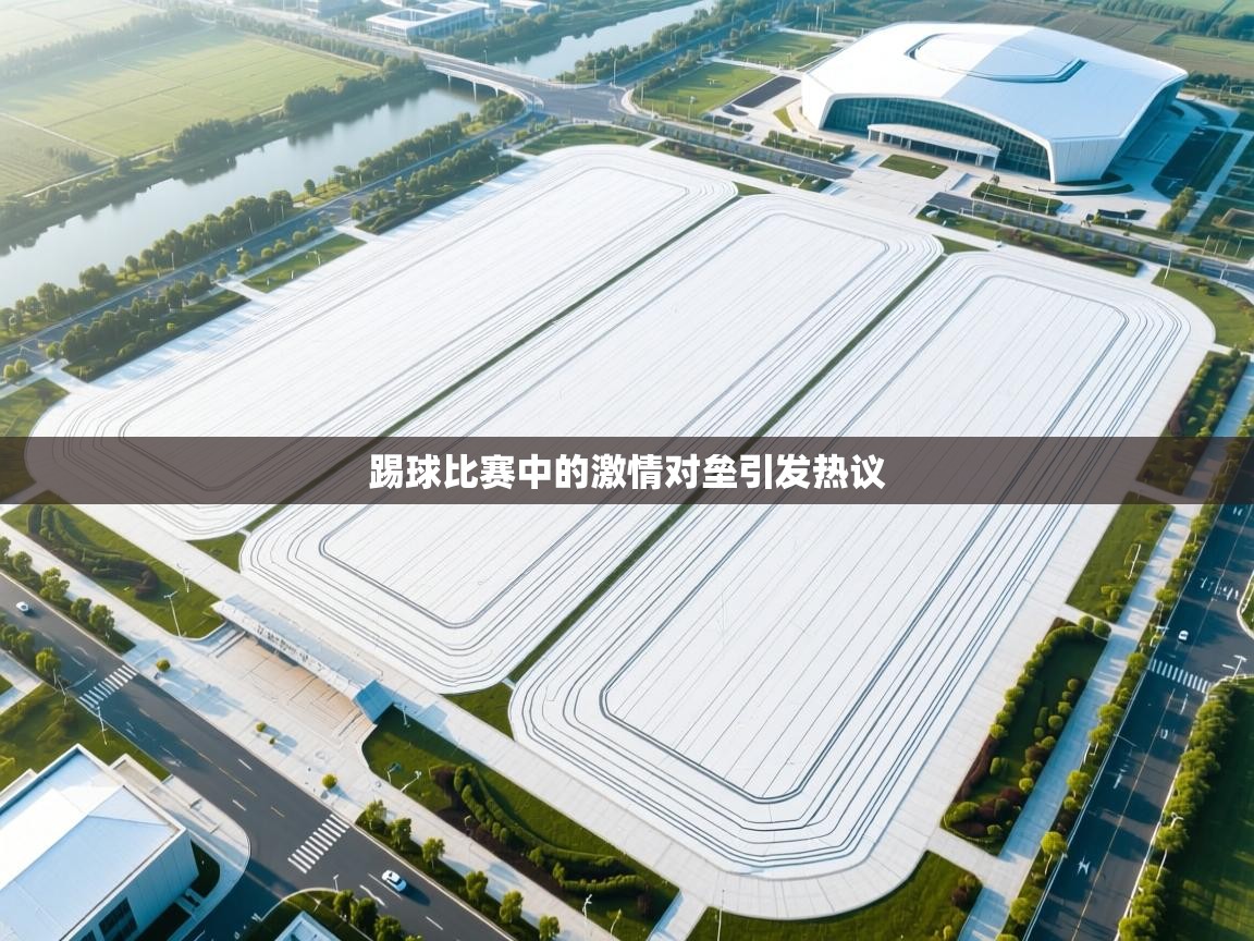 踢球比赛中的激情对垒引发热议  第2张