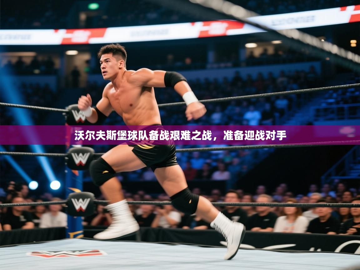 沃尔夫斯堡球队备战艰难之战,准备迎战对手 第1张