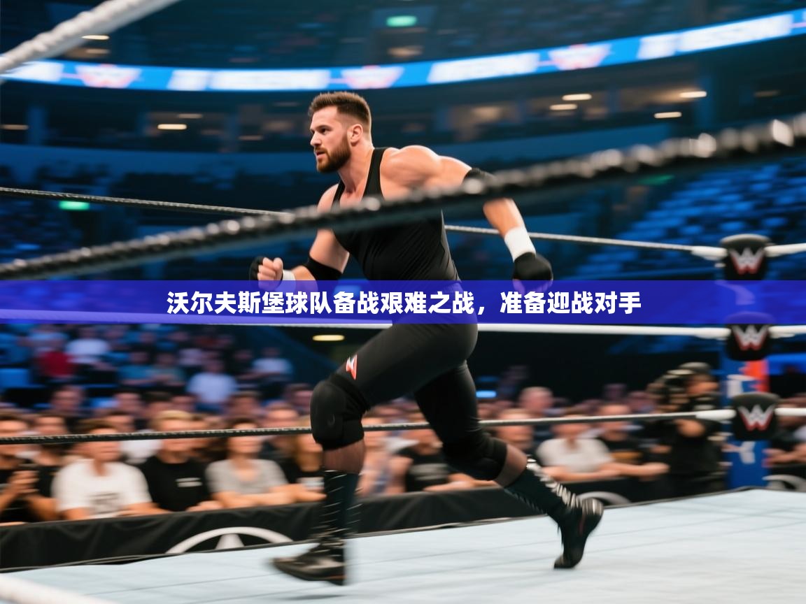 沃尔夫斯堡球队备战艰难之战,准备迎战对手 第2张